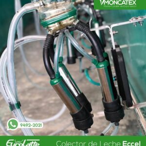 CANALIZADO ECCEL 2X6X6 55L BOMBA VACIO