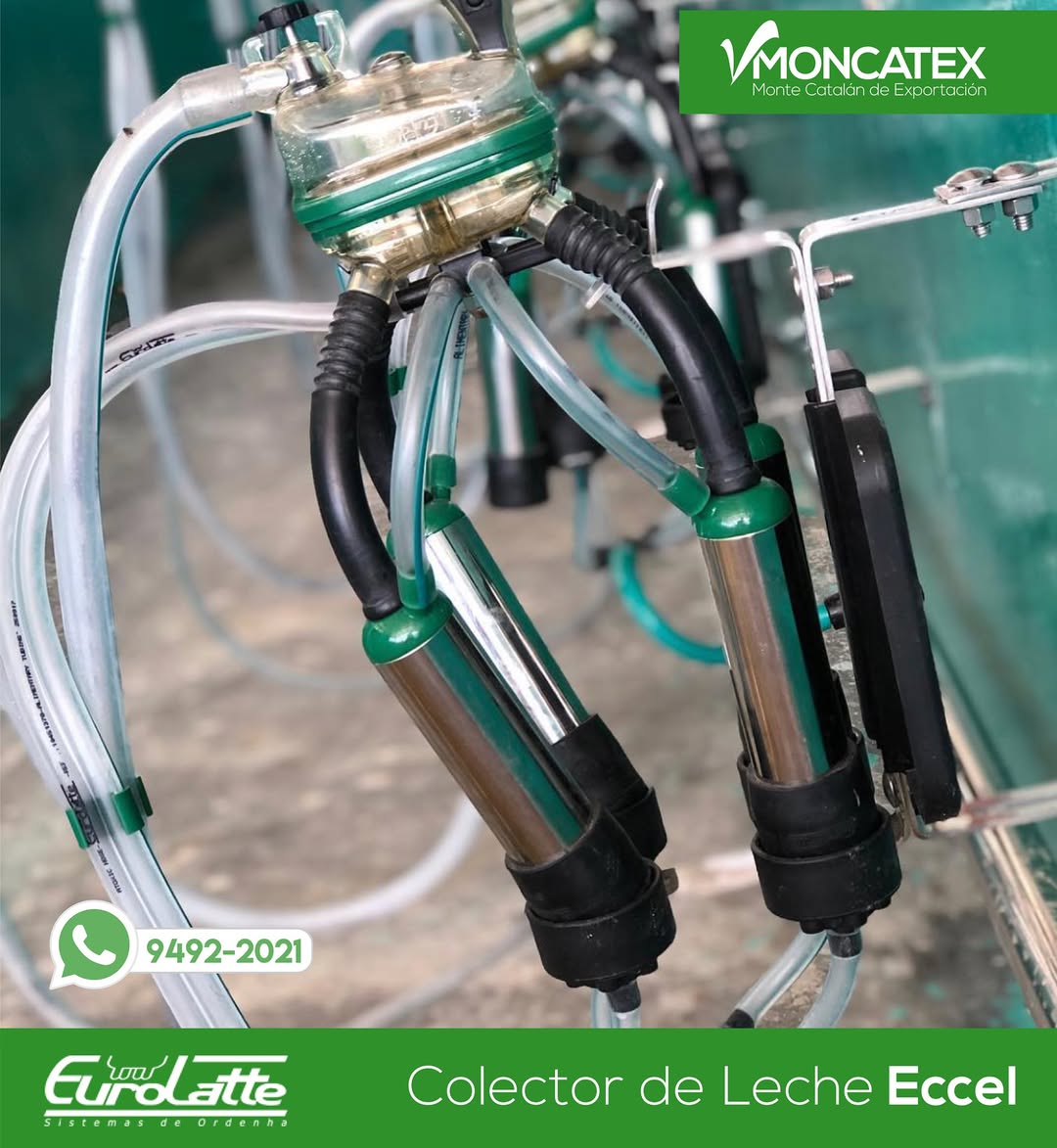 CANALIZADO ECCEL 2X6X6 55L BOMBA VACIO