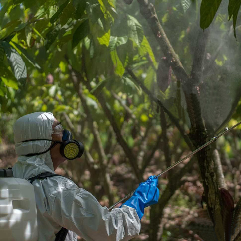 Aplicación con atomizador